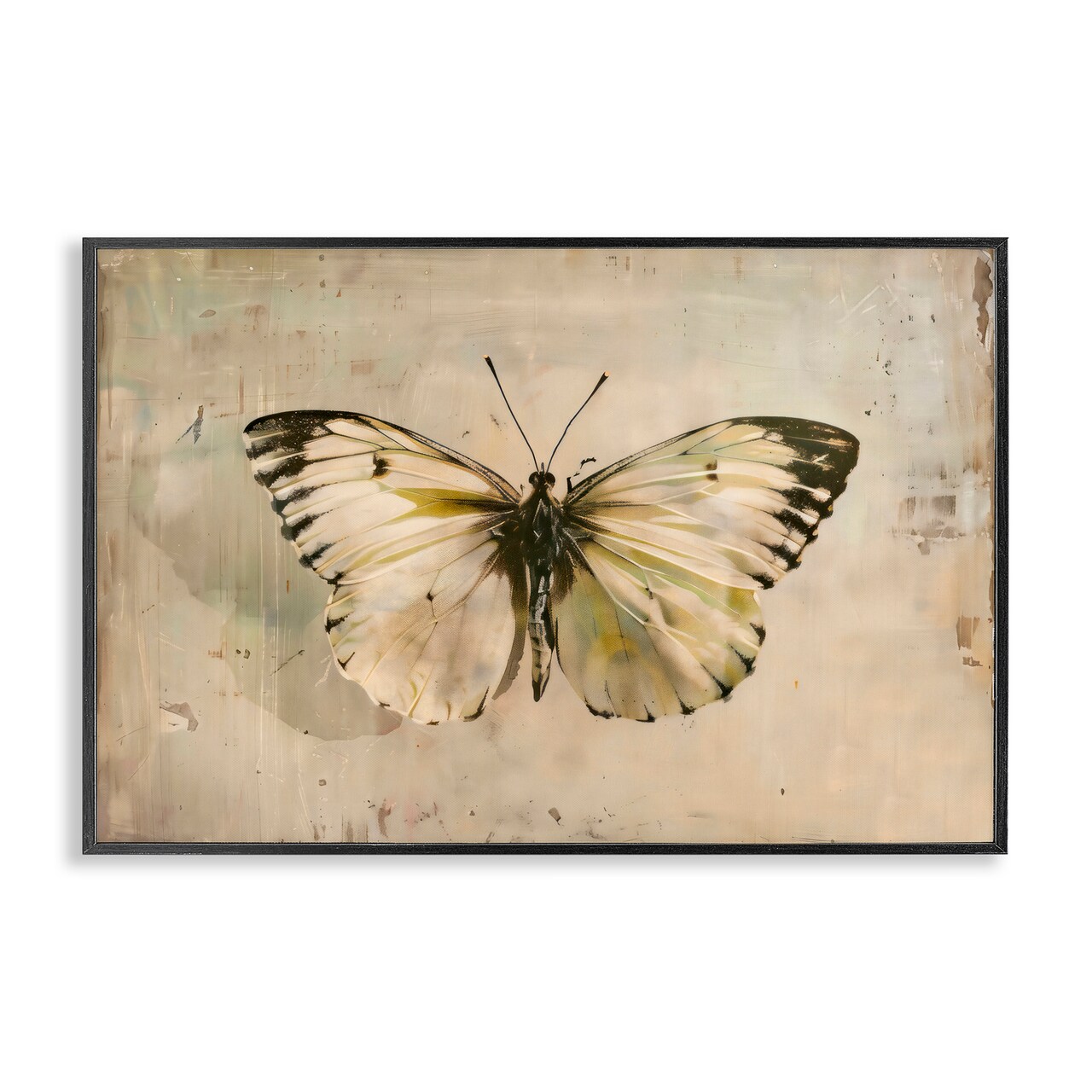Stupell Industries Graceful Vintage Butterfly Black Framed Giclee Art, design by Creative Studio